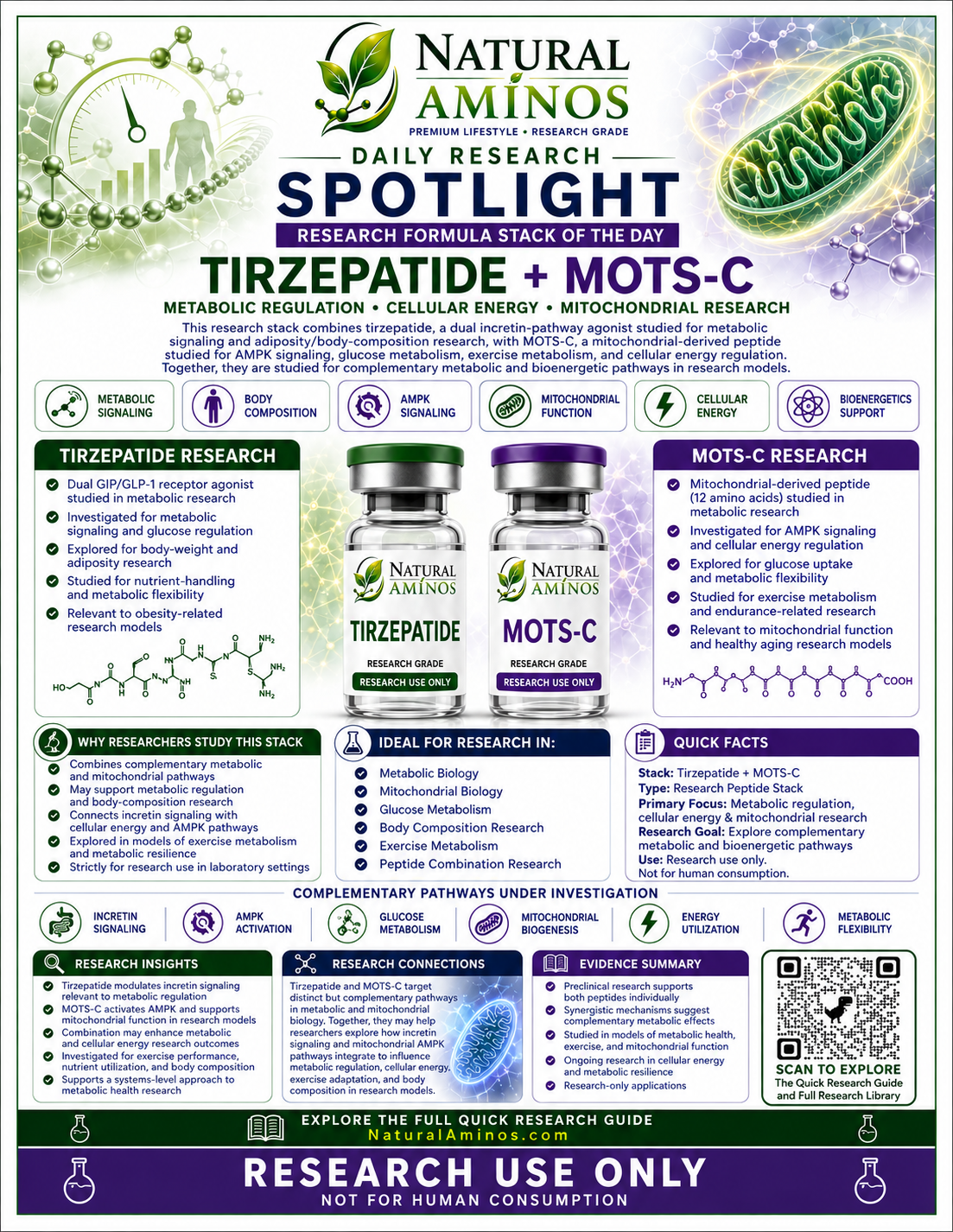 Tirzepatide + MOTS-c research graphic